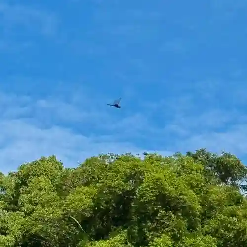 伊勢の国 四天王寺(三重県)