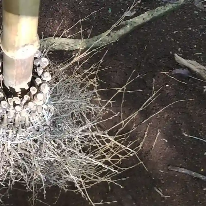 沼尾神社(茨城県)