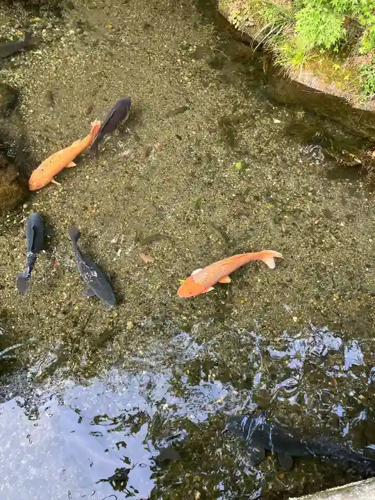 涌釜神社(栃木県)
