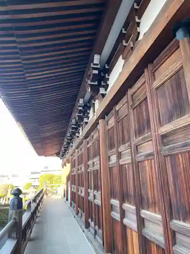 伝通院(東京都)