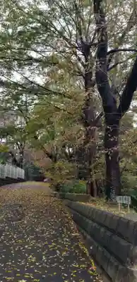 神明神社(千葉県)