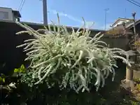 宗善寺(和歌山県)