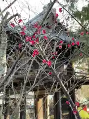 伊勢の国 四天王寺の自然