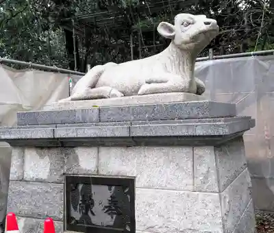 小金井神社の狛犬