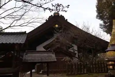 出雲大社神楽殿(島根県)