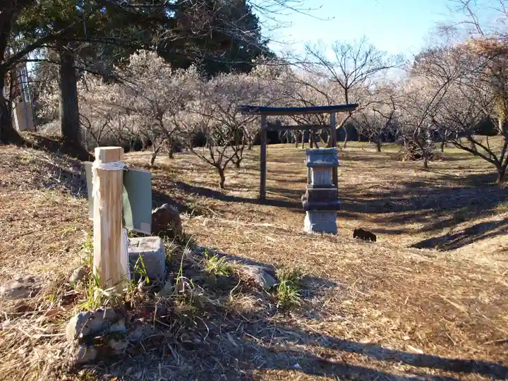 壽命院 永徳寺の鳥居
