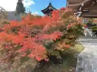 信濃比叡廣拯院の自然