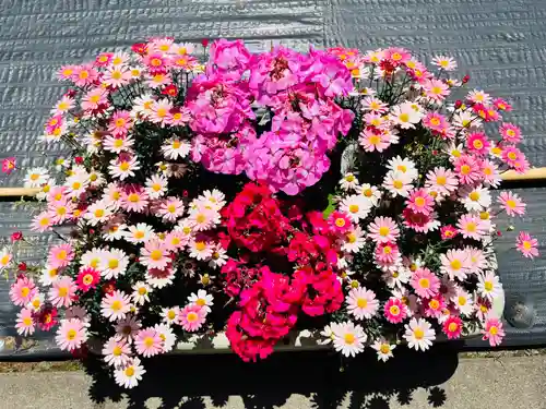 久富稲荷神社の自然