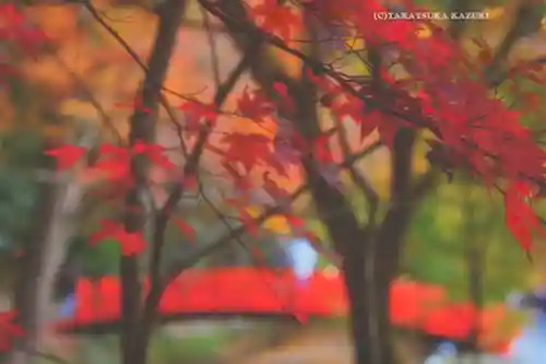 小國神社(静岡県)