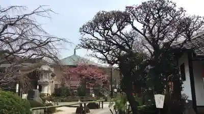 龍眼寺（萩寺）の周辺