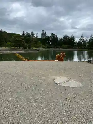 毛越寺(岩手県)