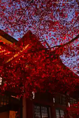 大山阿夫利神社(神奈川県)