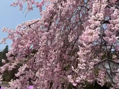 永澤寺(兵庫県)