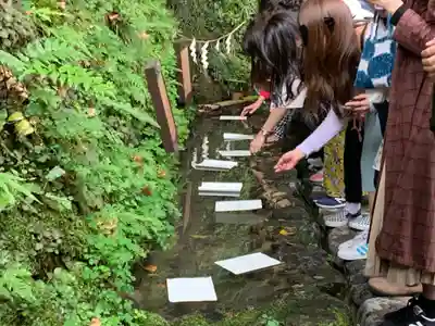 貴船神社のおみくじ