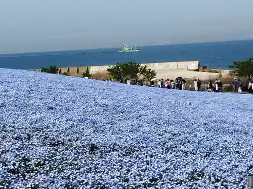 桜島神社(大阪府)