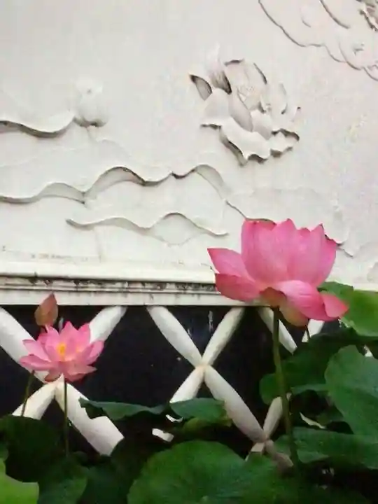 長善寺(東京都)