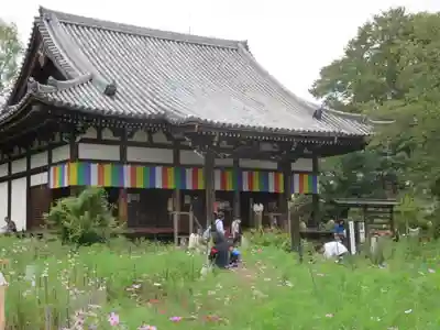 般若寺 ❁﻿コスモス寺❁のその他建物
