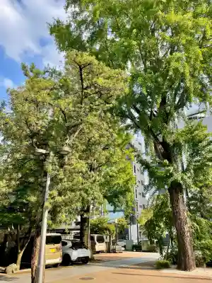 祥雲寺(東京都)