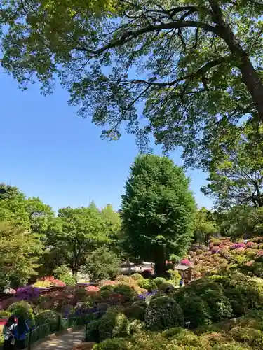 根津神社の庭園