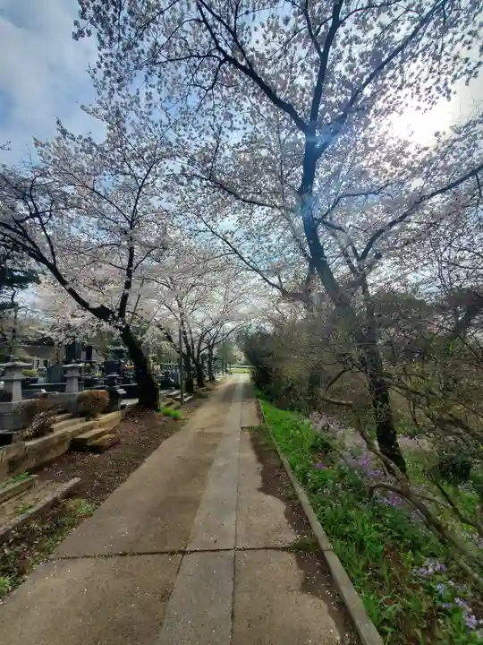 珊瑚寺(群馬県)
