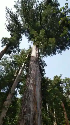日光二荒山神社の自然