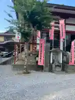 長谷寺(古河長谷観音)(茨城県)