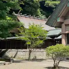 安房神社(千葉県)