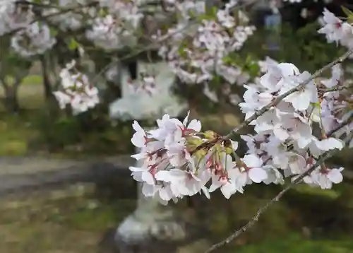 光明寺（粟生光明寺）(京都府)
