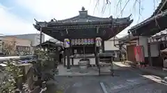 地蔵院（椿寺）(京都府)