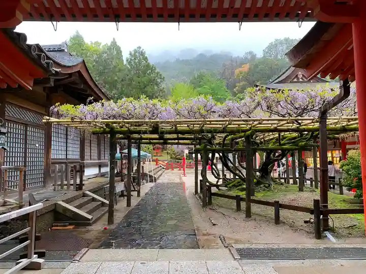 春日大社の庭園