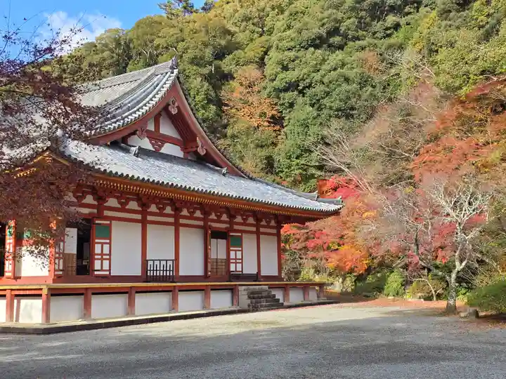 観心寺(大阪府)