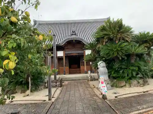 曹源寺の本殿・本堂