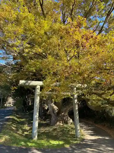 雨引千勝神社(茨城県)