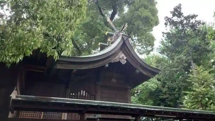 鳩ヶ谷氷川神社の本殿・本堂