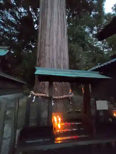 事任八幡宮の自然