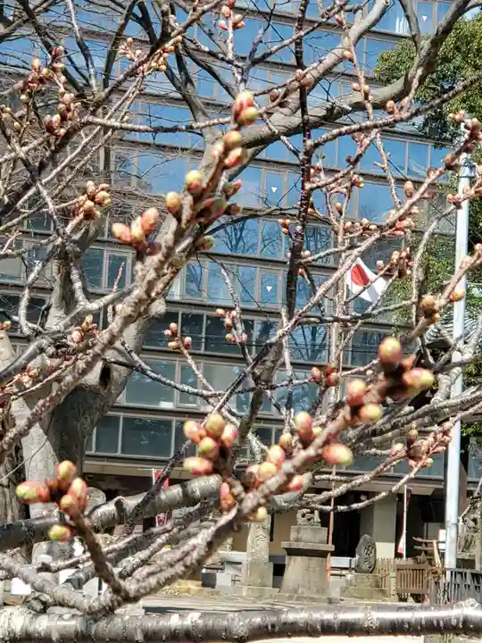 阿邪訶根神社の自然