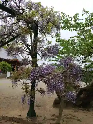 慈恩寺(埼玉県)
