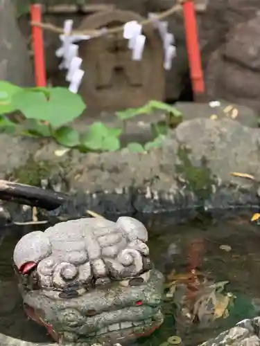 田無神社の狛犬