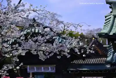 三嶋大社(静岡県)