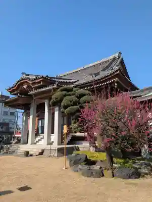 金藏院(神奈川県)