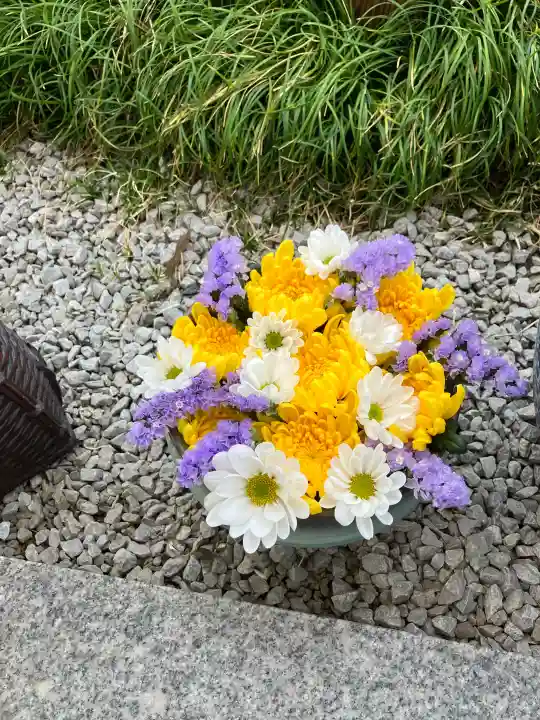 埼玉厄除け開運大師・龍泉寺(切り絵御朱印発祥の寺)の{uncategorized: "未分類", other: "その他", undefined: "問題あり", building: "その他建物", grave: "お墓", sacred_gate: "鳥居", guardian: "狛犬", statue: "像", buddha: "仏像", history: "歴史", nature: "自然", garden: "庭園", animal: "動物", pagoda: "塔", temizu: "手水舎", mountain_gate: "山門・神門", sanctuary: "本殿・本堂", subordinate: "末社・摂社", art: "芸術", scenery: "景色", jizo: "地蔵", ema: "絵馬", goshuin: "御朱印", omikuji: "おみくじ", items: "授与品その他", amulet: "お守り", goshuincho: "御朱印帳", eats: "食事", festival: "お祭り", votive_dance: "神楽", shichigosan: "七五三参", wedding: "結婚式", experience: "体験その他", initially: "初詣", around: "周辺", anti_infection: "感染症対策"}