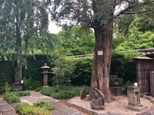 増上寺塔頭 妙定院のその他建物