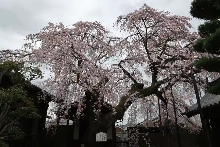 心念寺(三重県)
