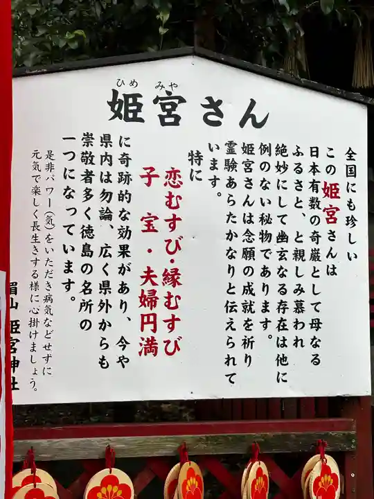 徳島眉山天神社(徳島県)