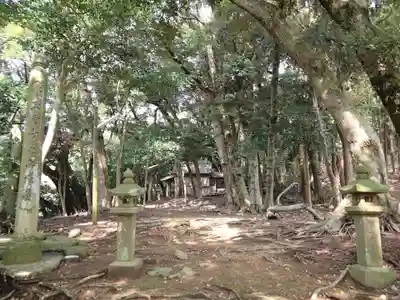 濱殿神社の自然