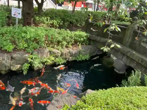 浅草寺の庭園