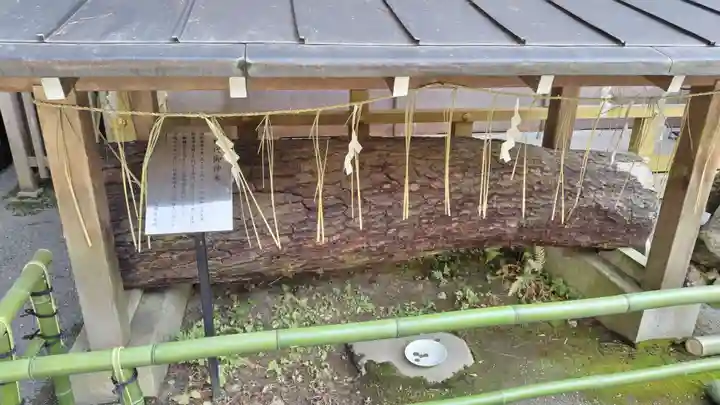 九頭竜大社(京都府)