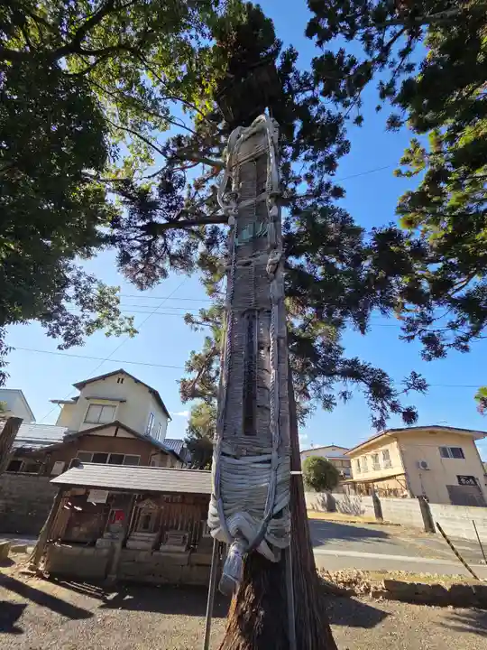 飯坂八幡神社(福島県)