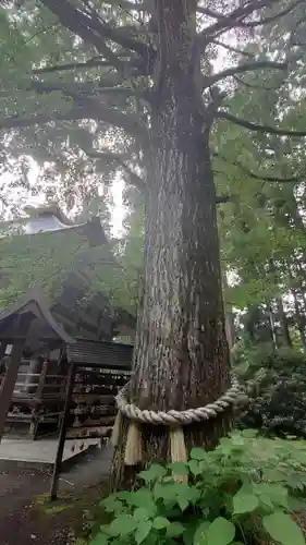 西光寺(宮城県)