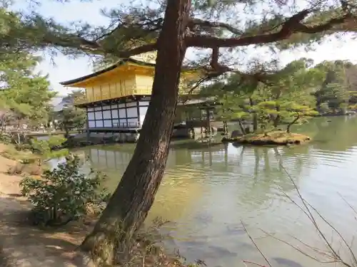 鹿苑寺（金閣寺）の庭園